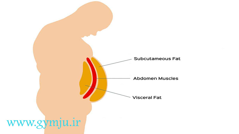 از دست دادن بافت چربی